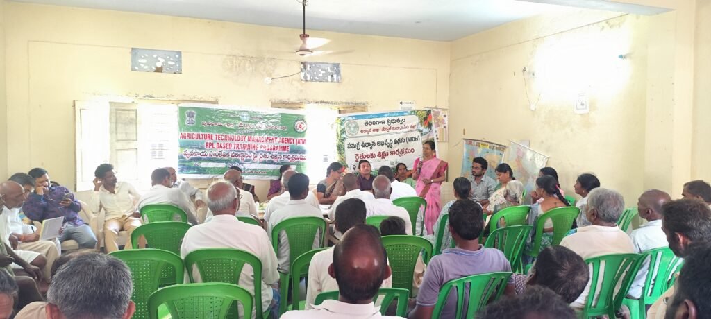 కూరగాయల సాగులో సేంద్రియ పద్ధతులు పాటించాలి