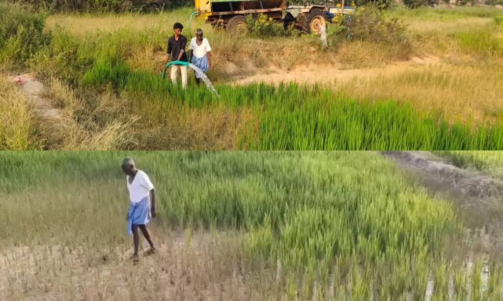 చినుకు కోసం.. చిగురుటాకులా రైతన్న ఆశ